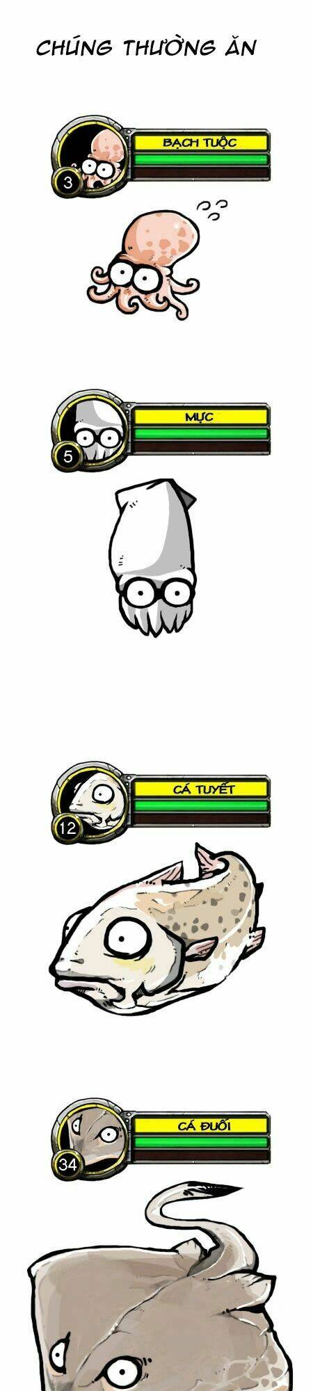 earth, human, and animal chapter 13 16