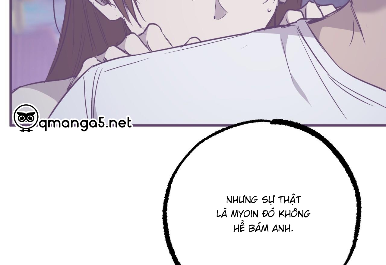 đàn thỏ của habibi chapter 59 189