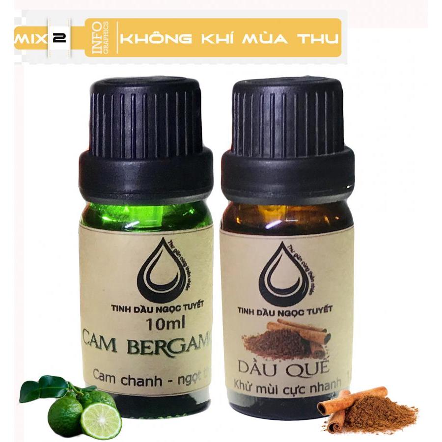 Bộ tinh dầu lọc không khí đem lại sự mát mẻ 10mlx2 (Cam begamot, quế) Ngọc Tuyết