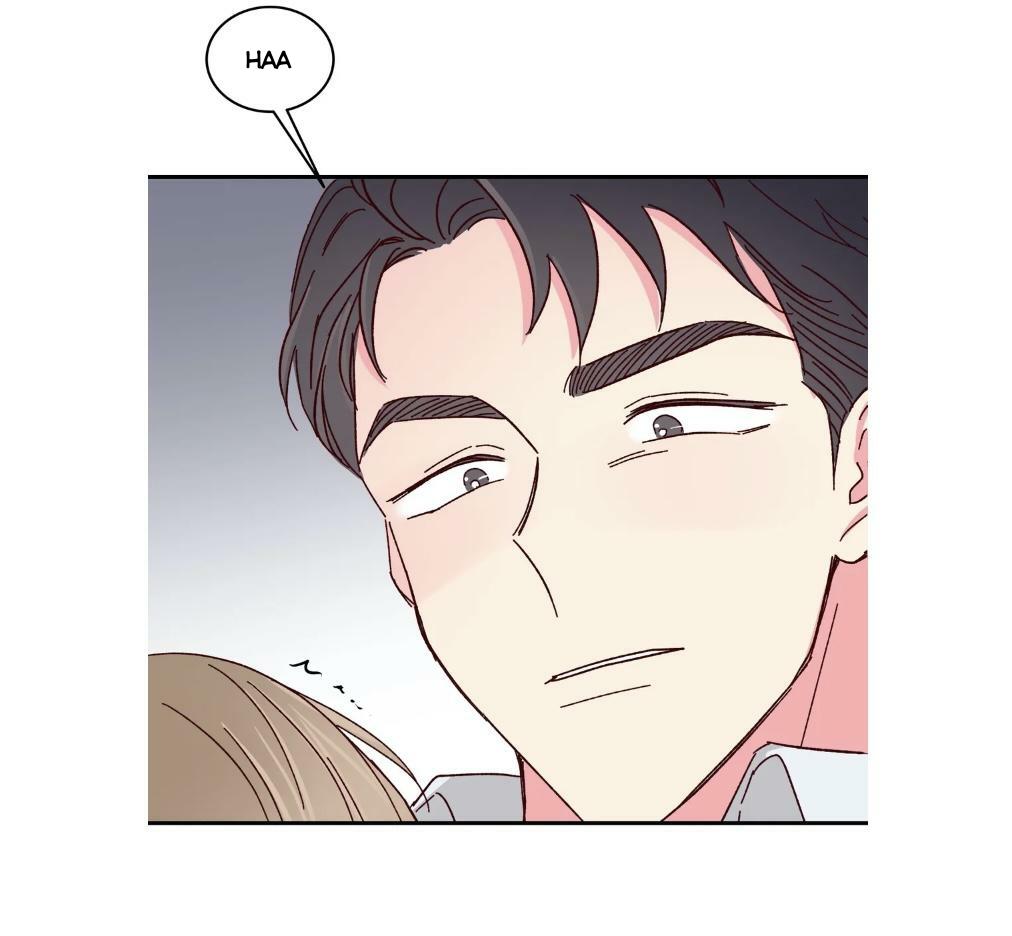 món tráng miệng của sếp tổng chapter 59 13