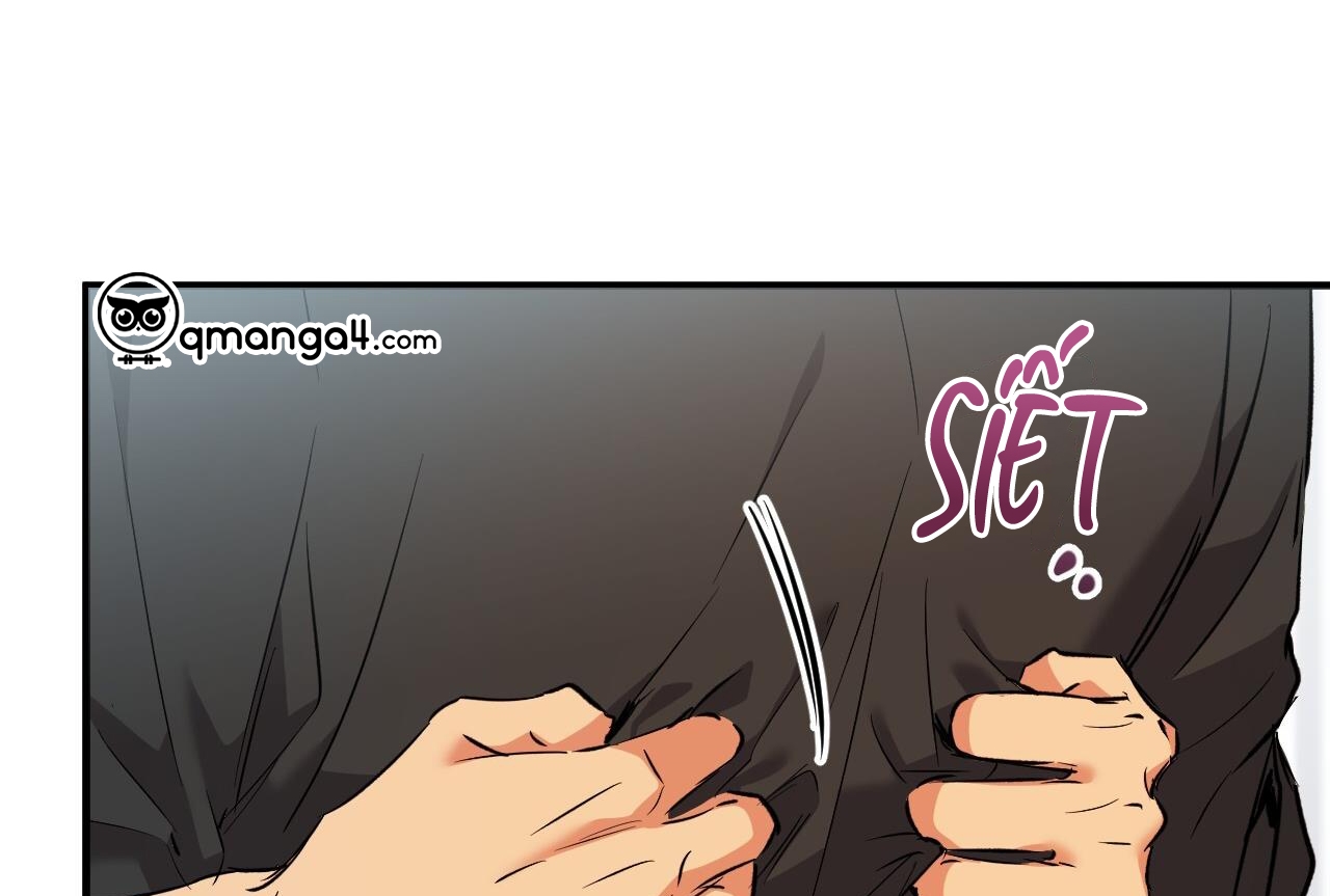 những chú thỏ của hapypy chapter 57 110