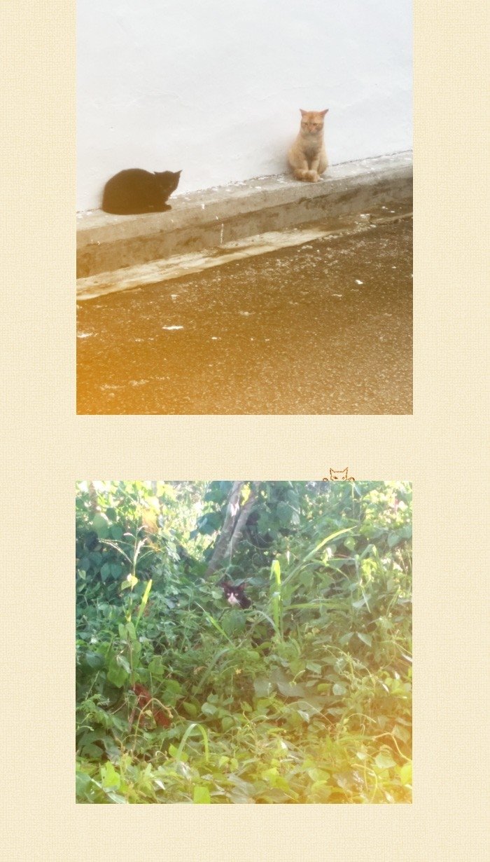 little rain chapter 14.5 24