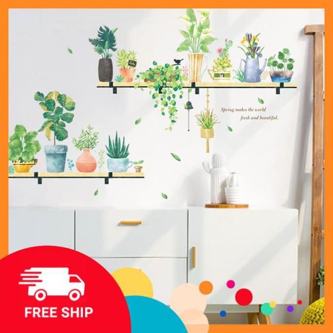 ️️ Decal dán tường 3 tầng chậu cây xanh