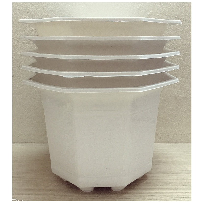 5 Chậu Nhựa Bát Giác 170x120 Màu Trắng