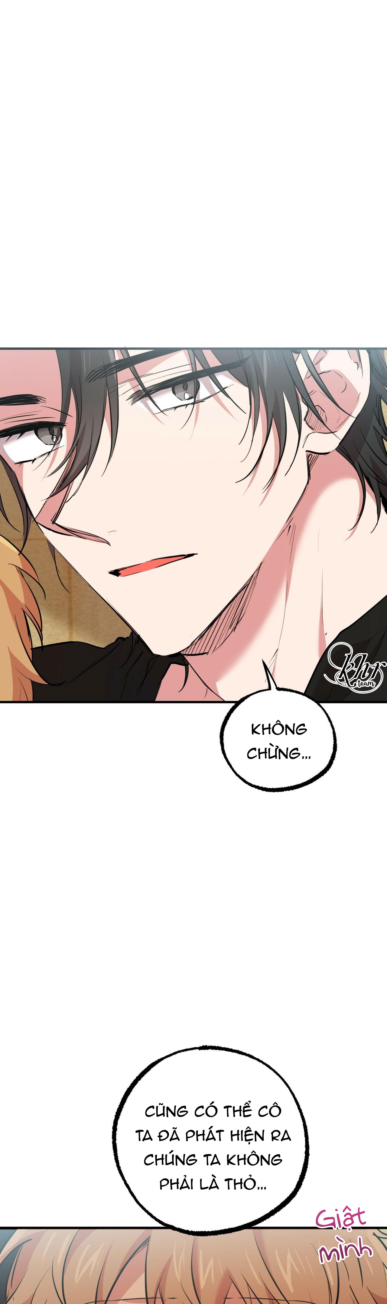 những chú thỏ của hapypy chapter 35 30