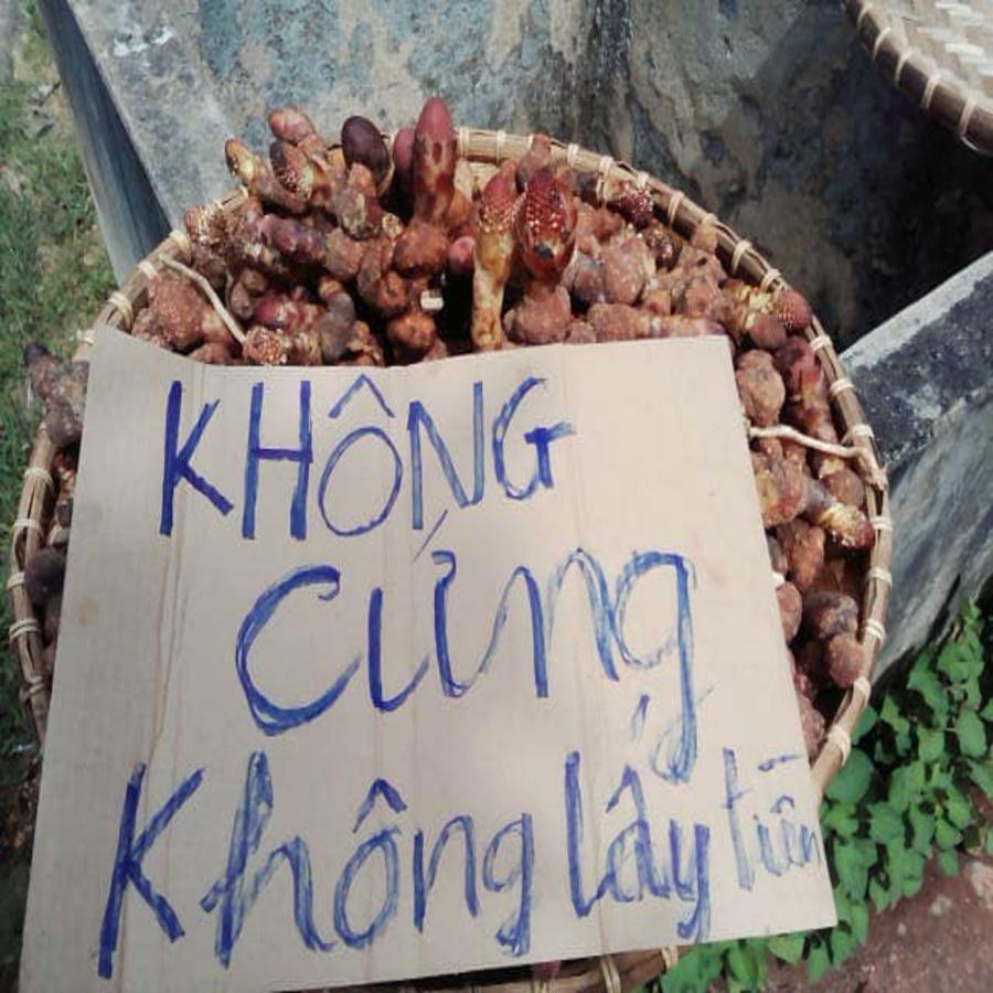 Ngọc Cẩu Khô Siêu Phẩm Đồ Ngâm- 01Kg