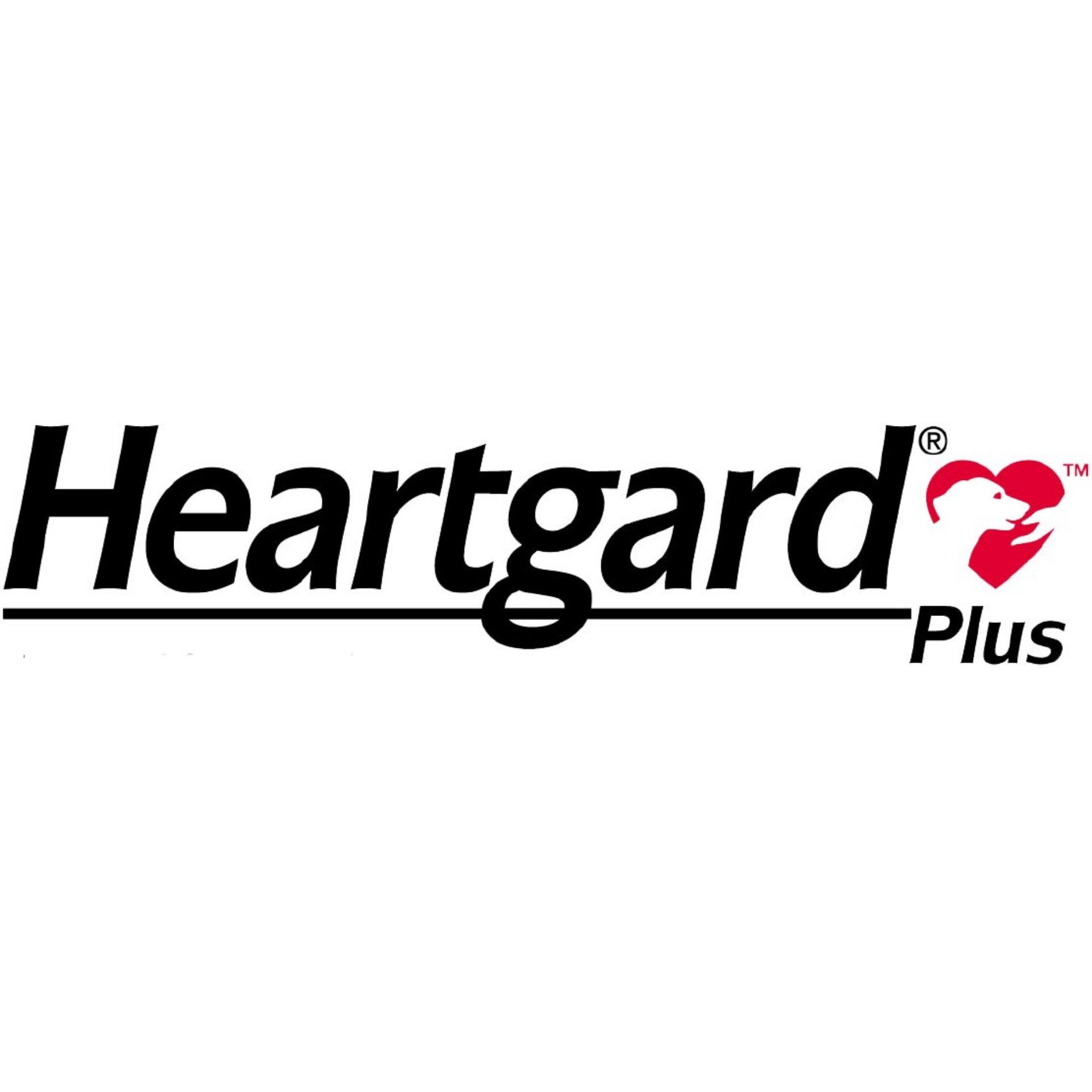 Heartgard tẩy giun tim, giun móc, giun đũa (chó 11,5 - 22,5kg; 1 hộp x 6 viên)