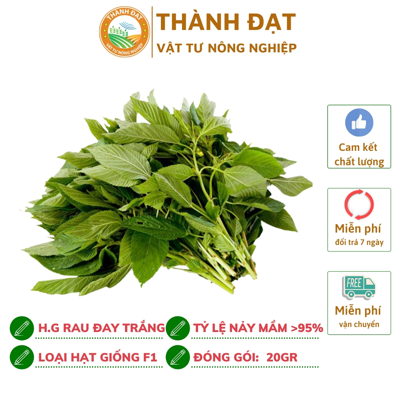 Hạt giống rau đay trắng gói 20gr