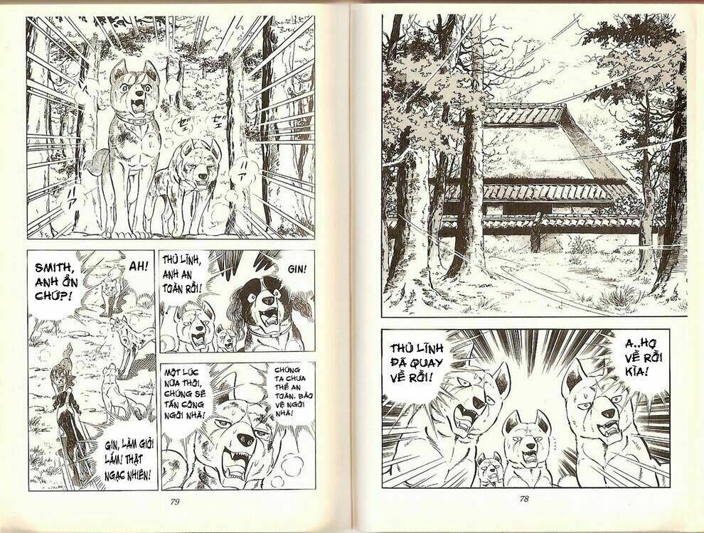 chú chó có nghĩa - ginga nagareboshi gin chapter 19 38