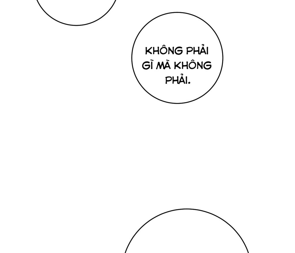 tình yêu bình dị nhất chapter 13 86