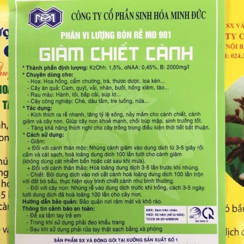 Giâm chiết cành Minh Đức