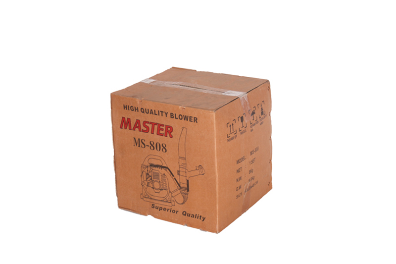 Máy thổi lá MasTer