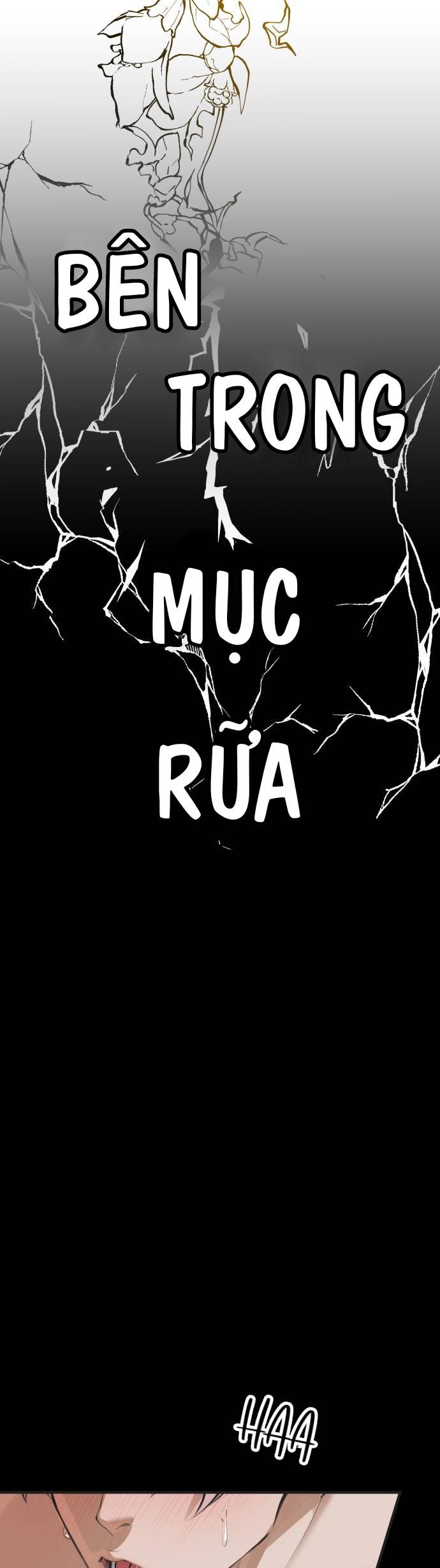 lặng lẽ ngắm nhìn em chapter 0 8