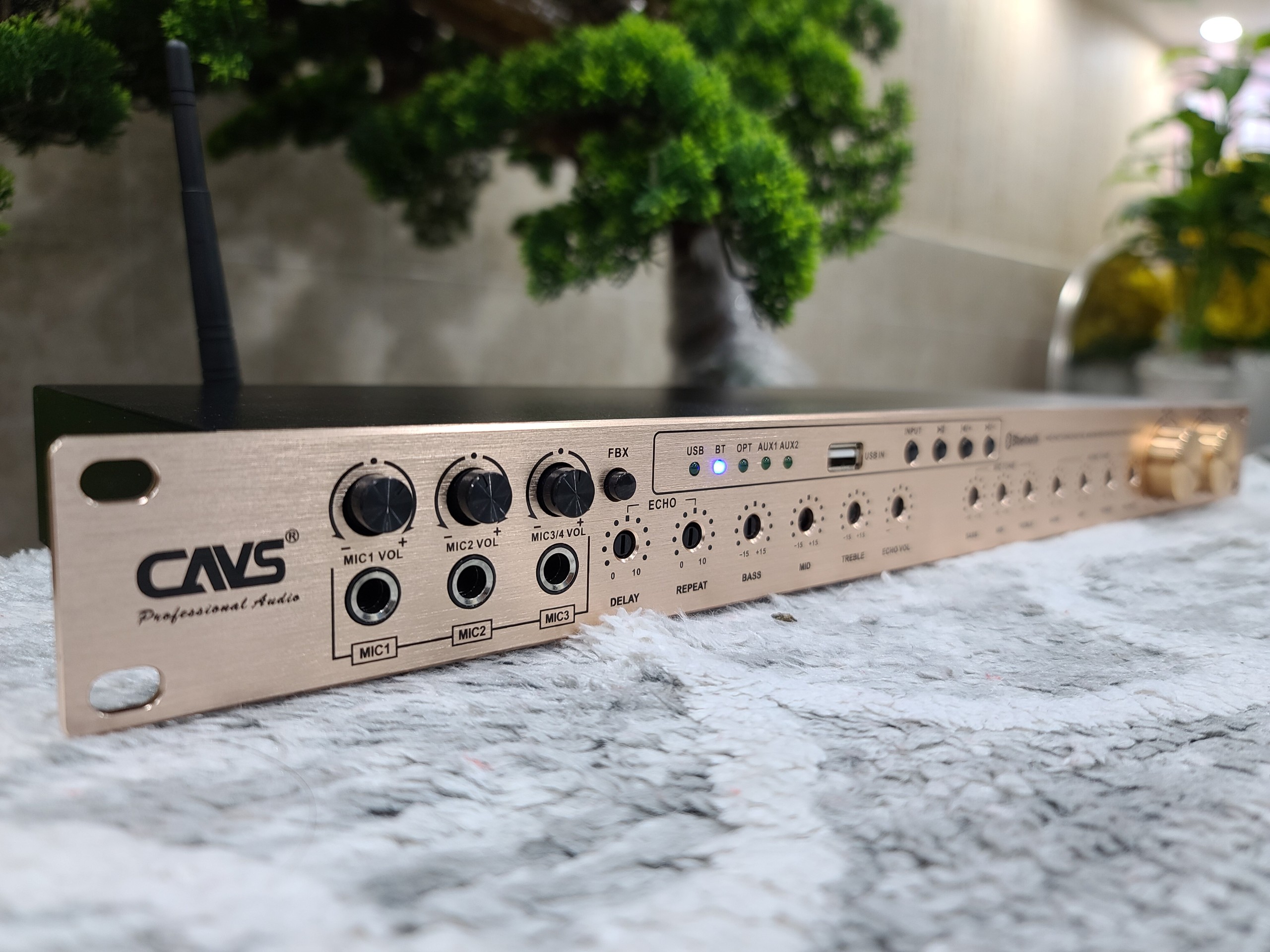 Vang cơ CAVS f5000 GOLD NEW hàng chính hãng