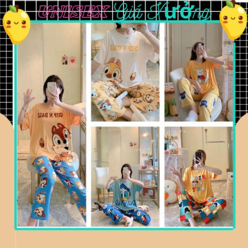 Đồ Bộ Nữ Mặc Nhà Mùa Hè Đồ Bộ Thun Tay Ngắn
