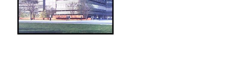 chiến lược lãng mạn của thịnh thiếu chapter 41 5