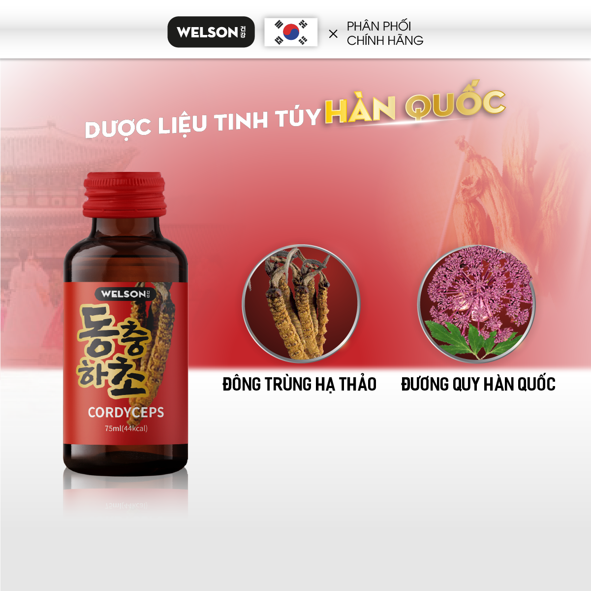 Combo 2 Hộp Quà Tặng Hỗ Trợ Sức Khoẻ Tăng Đề Kháng Welson Cordyceps 2 hộp x 5 chai x 75ml