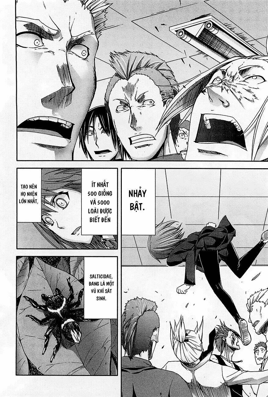 arachnid chapter 25 23