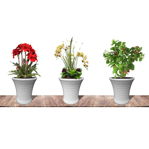 Chậu Nhựa Trắng Caro 3D - Chậu Caro Hình Loa, Sang Trọng, Bền Đẹp VTNN Nông Điền Trang
