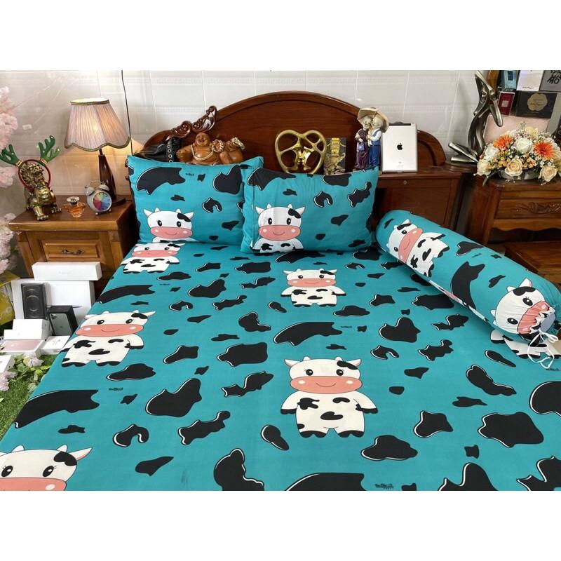 Drap thun hàn quốc