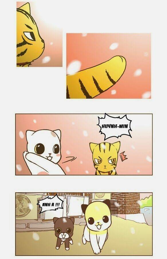 papi nyang chapter 17 17