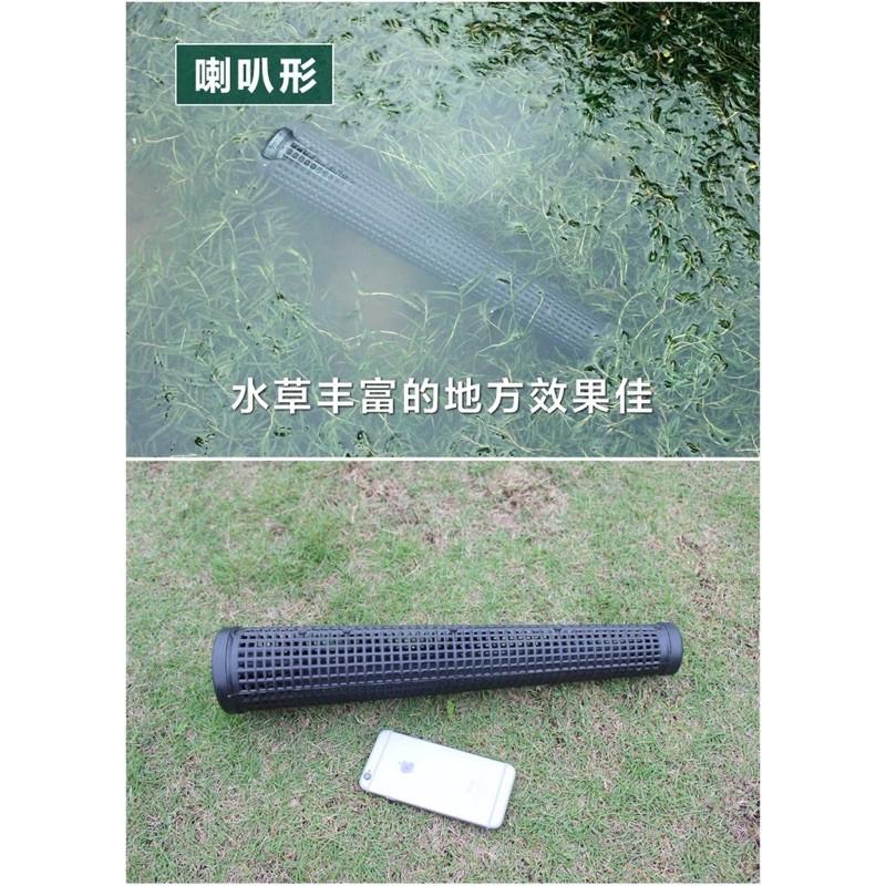 Trúm bắt lươn