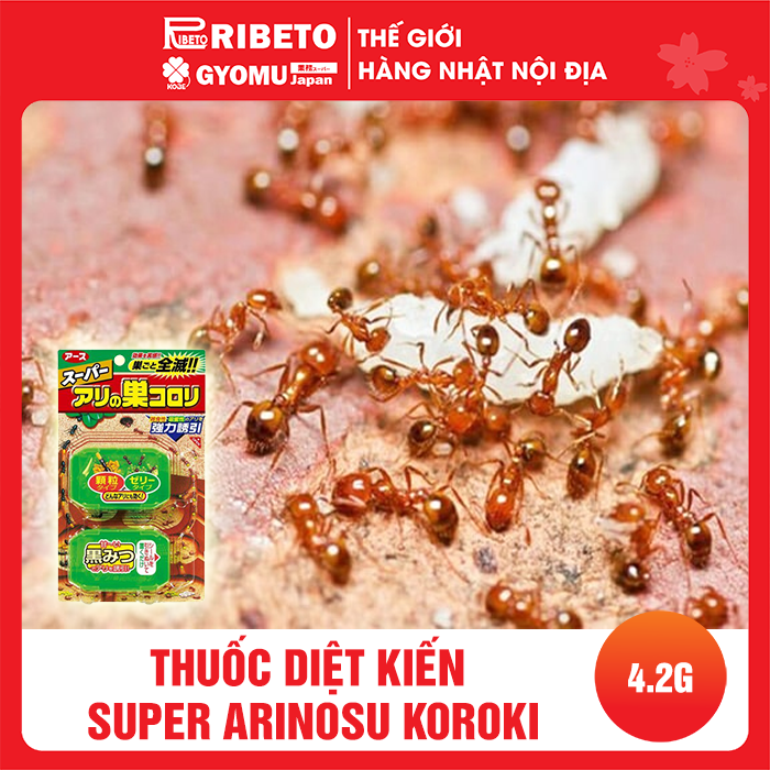 Thuốc diệt kiến Super Arinosu Koroki Nhật Bản vỉ 2 hộp- hàng nội địa Nhật Bản