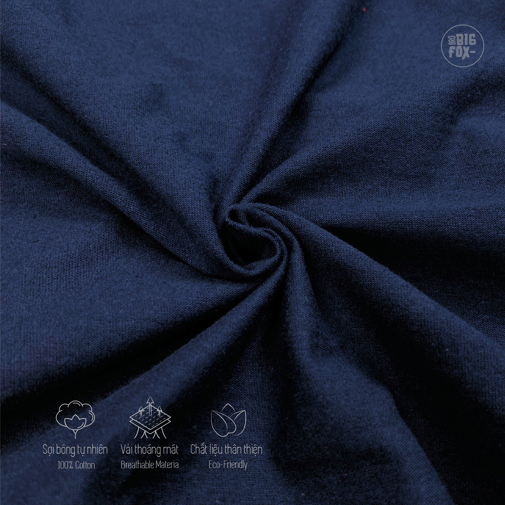 Bộ Quần Áo Bé Trai Cộc Tay Size Đại BigFox - Miss Meow Mùa Hè Chất Liệu Cotton Họa Tiết Lướt Sóng