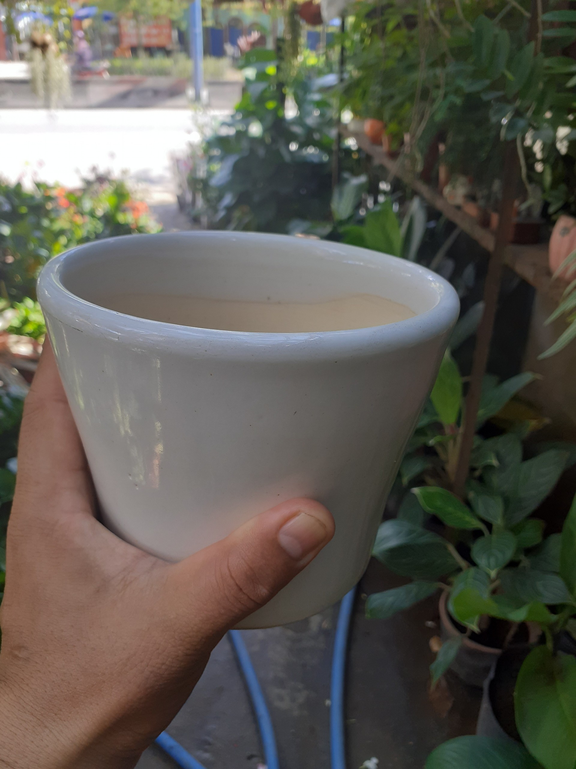 Chậu đất nung TRÁNG MEN MÀU TRẮNG.