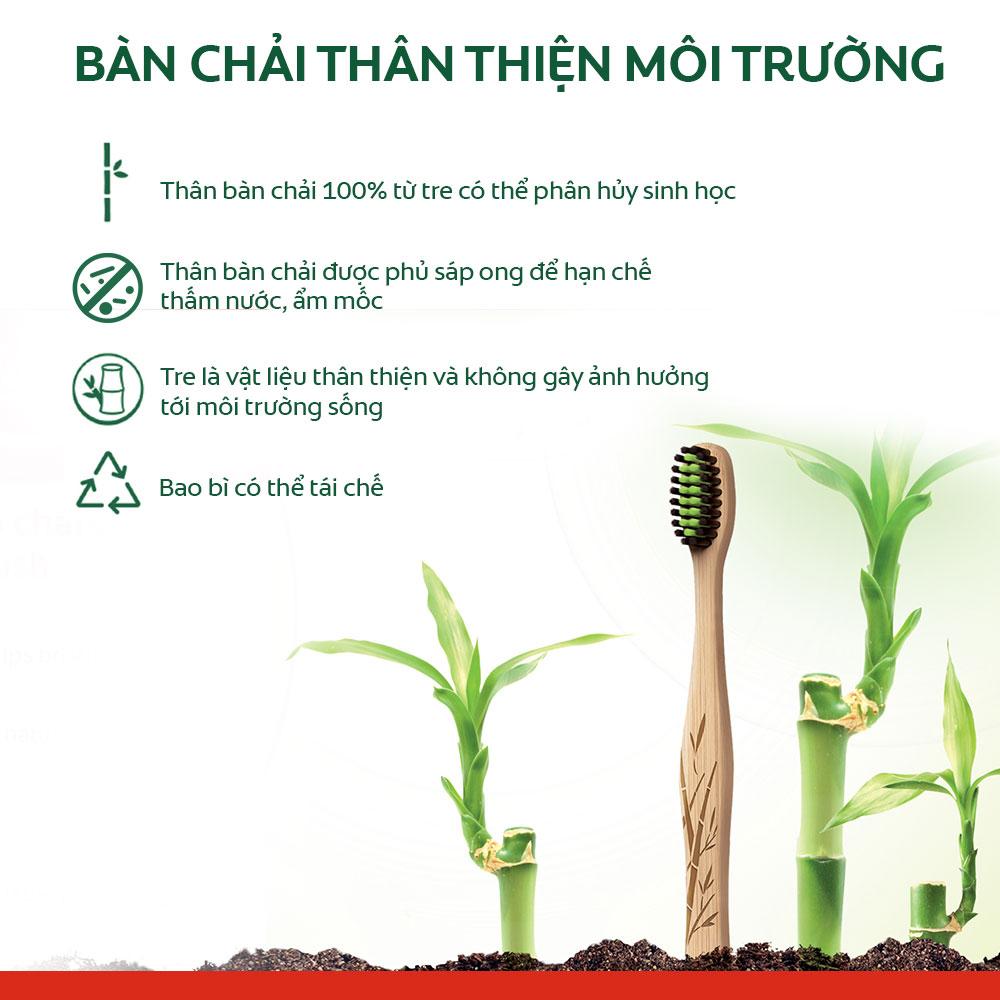 Bộ 6 bàn chải đánh răng Colgate than hoạt tính kháng vi khuẩn Bamboo Charcoal từ tre thiên nhiên