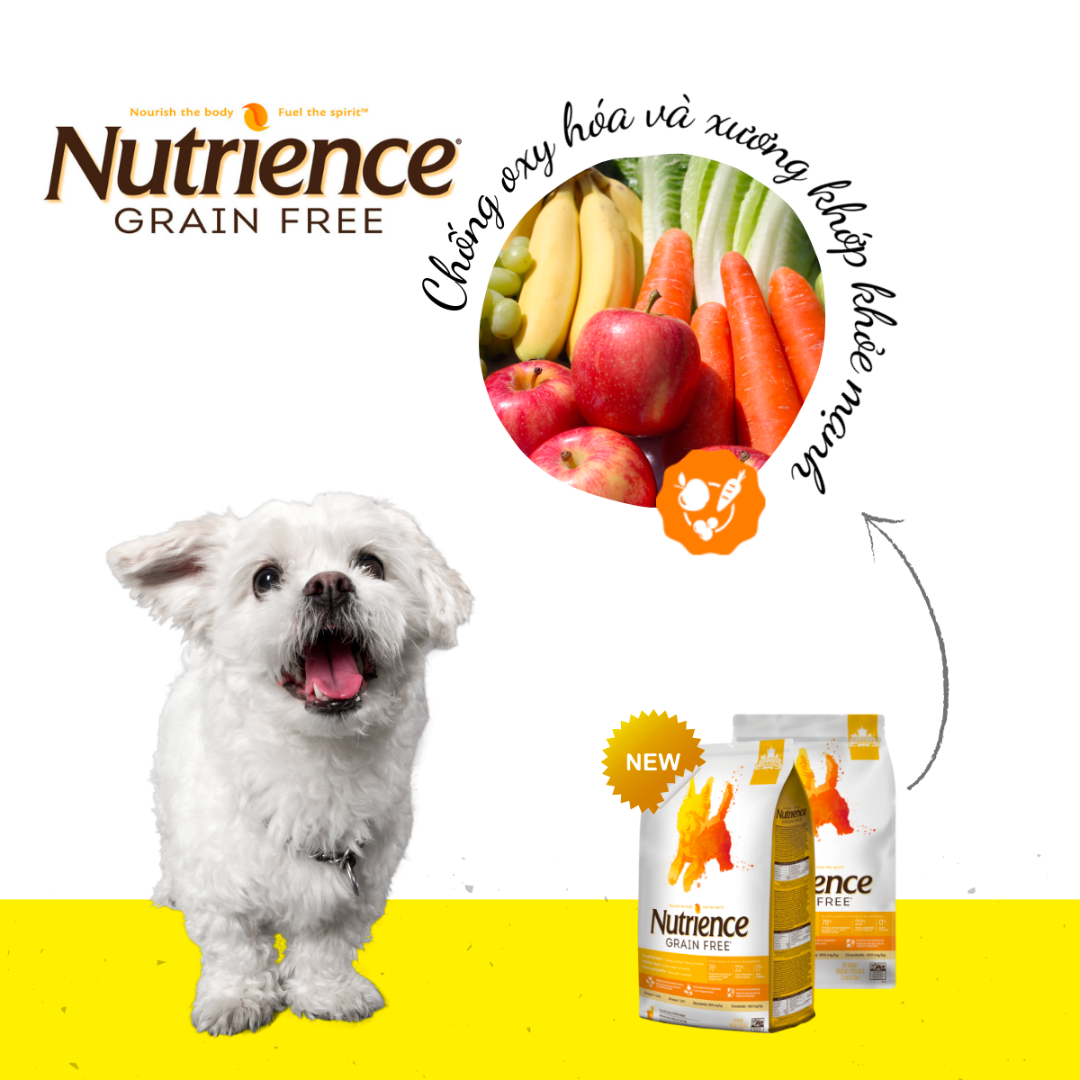 Thức Ăn Hạt Cho Chó Nutrience Grain Free Vị Gà Tây, Gà Canada Và Cá Trích