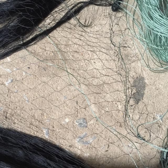 Lưới bẫy rắn 30 m - 50 m