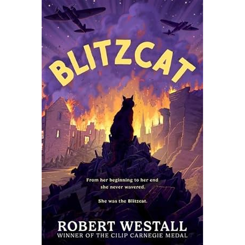 Sách Blitzcat