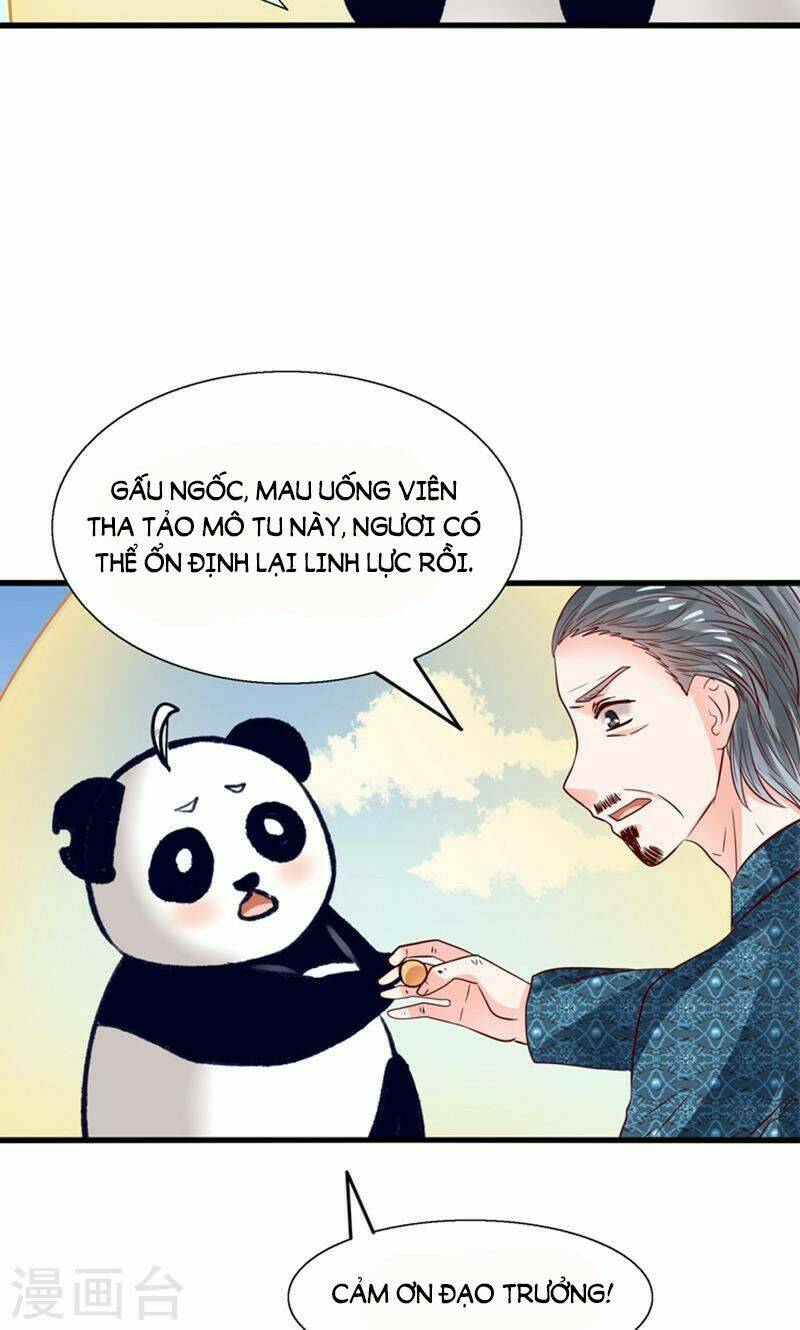 tôi bị gấu trúc nhìn trúng rồi chapter 25 16