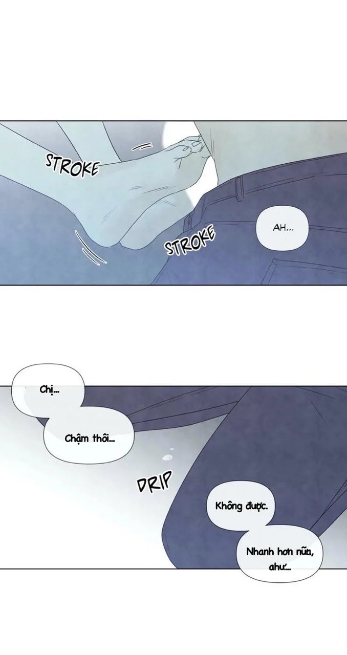 summer solstice point chapter 23 11