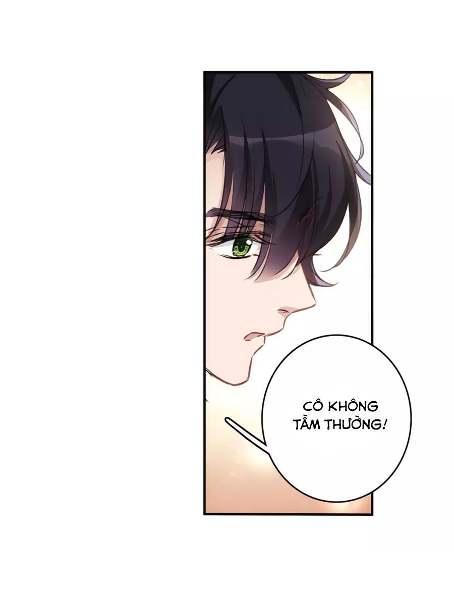 Cuốn Sách Vận Mệnh Của Tôi chapter 55 - Trang 24