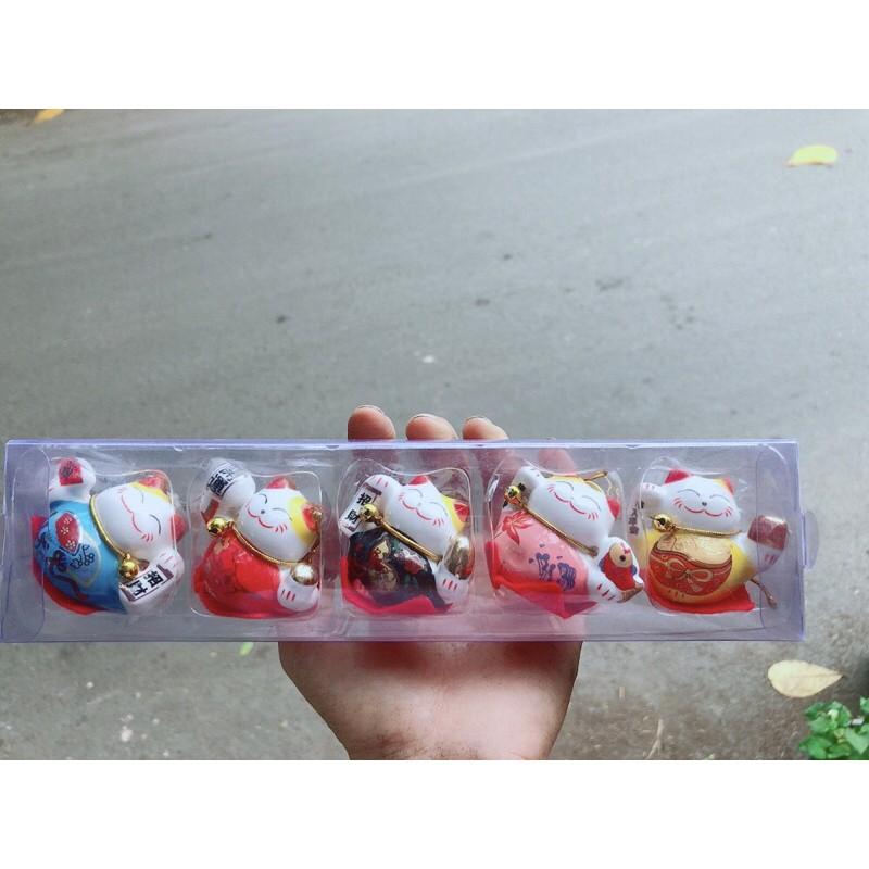 Combo 6 Mèo May Mắn