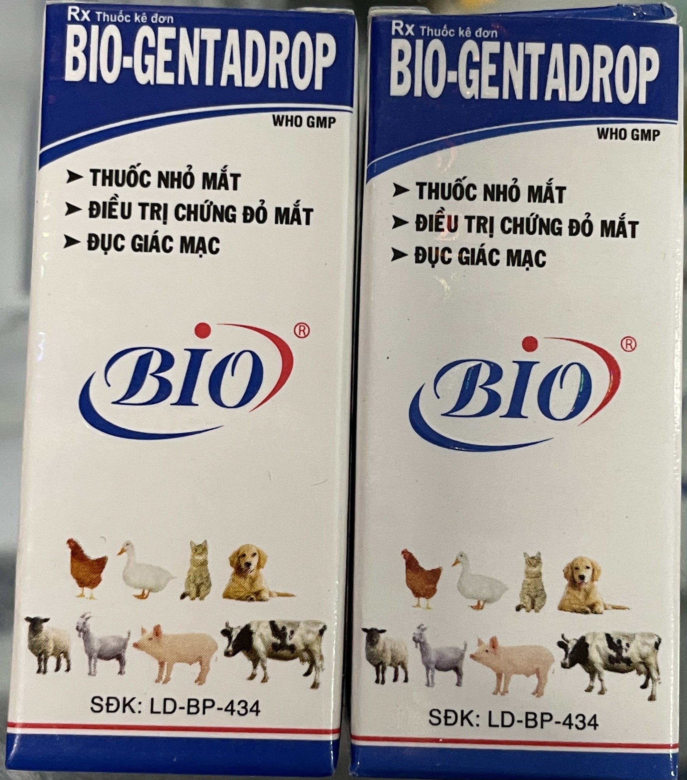 GENTADROP 10ML - ĐIỀU TR.Ị CHỨNG ĐỎ MẮT, ĐỤC GIÁC MẠC