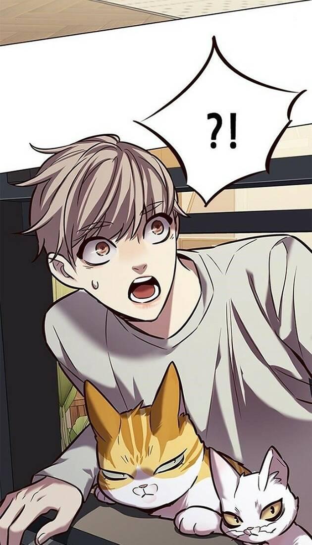 biến thân thành mèo chapter 220 2