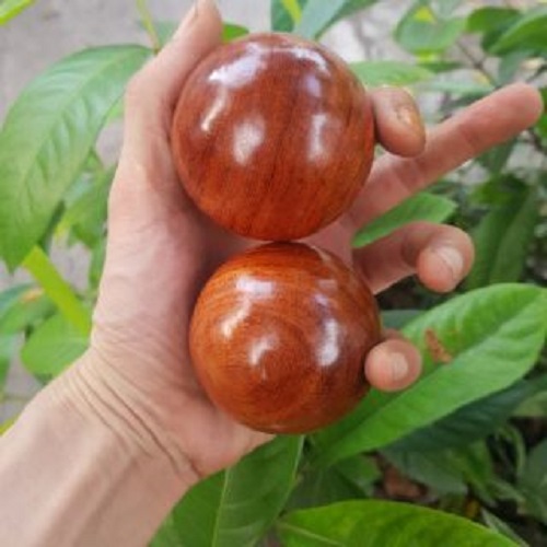 Bi Lăn Tay Hạt Gỗ Hương 6cm
