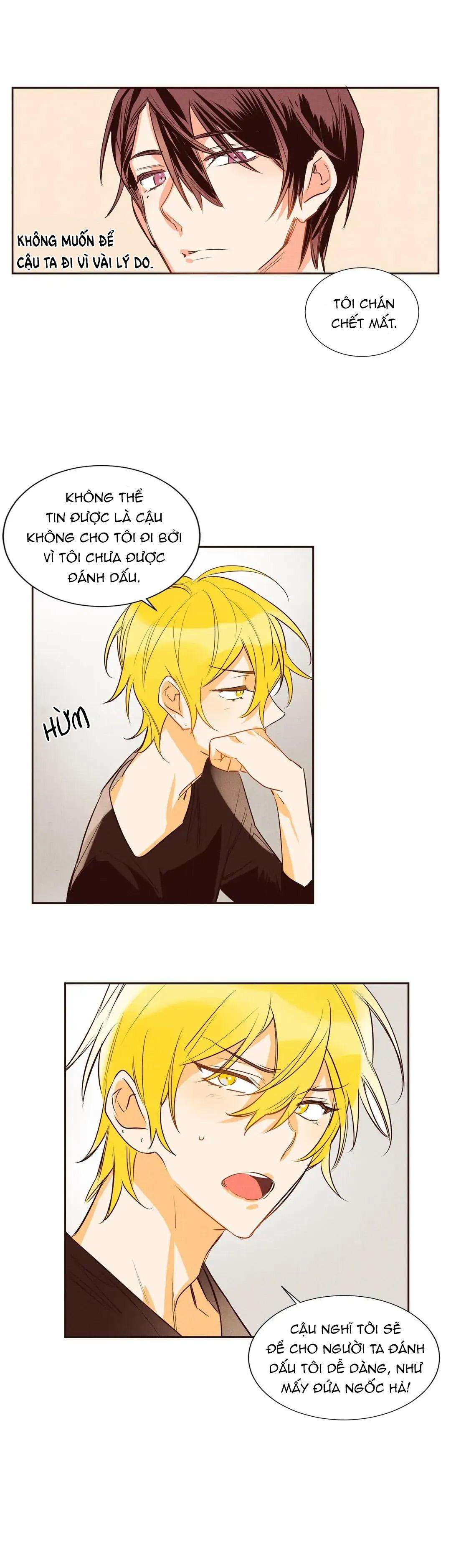 chìm trong pheromone chapter 9 4