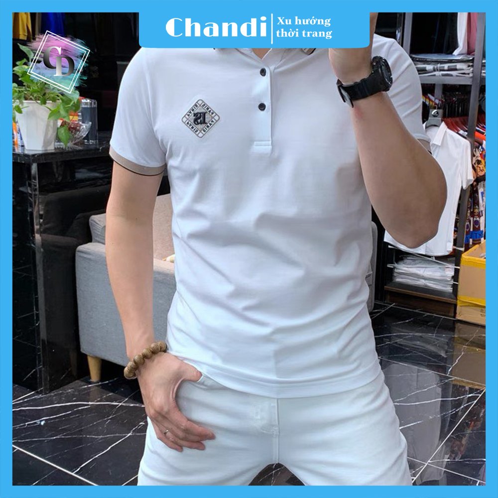 Áo Thun Nam Ngắn Tay Chandi, Chất Thun Cotton Xịn Mẫu Mới NT22