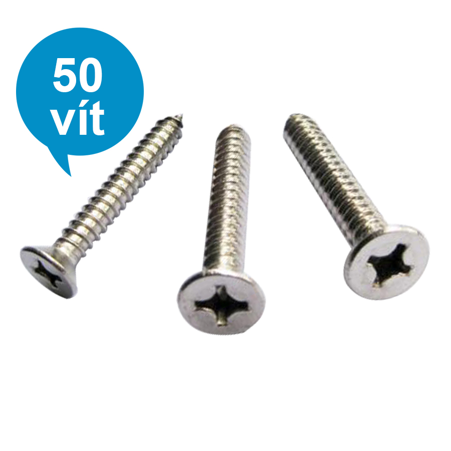 Bịch 50 Con Vít Sắt Đầu Bằng