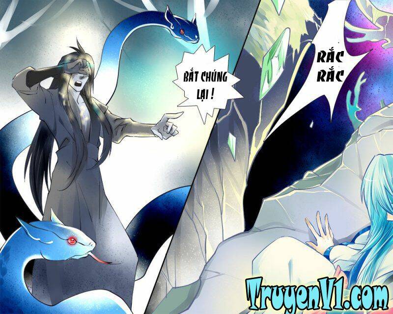 long phượng trình tường chapter 95 4