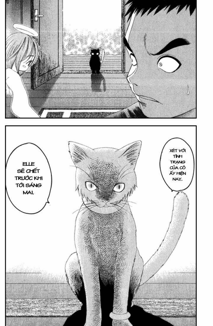 happy world! chapter 17 23