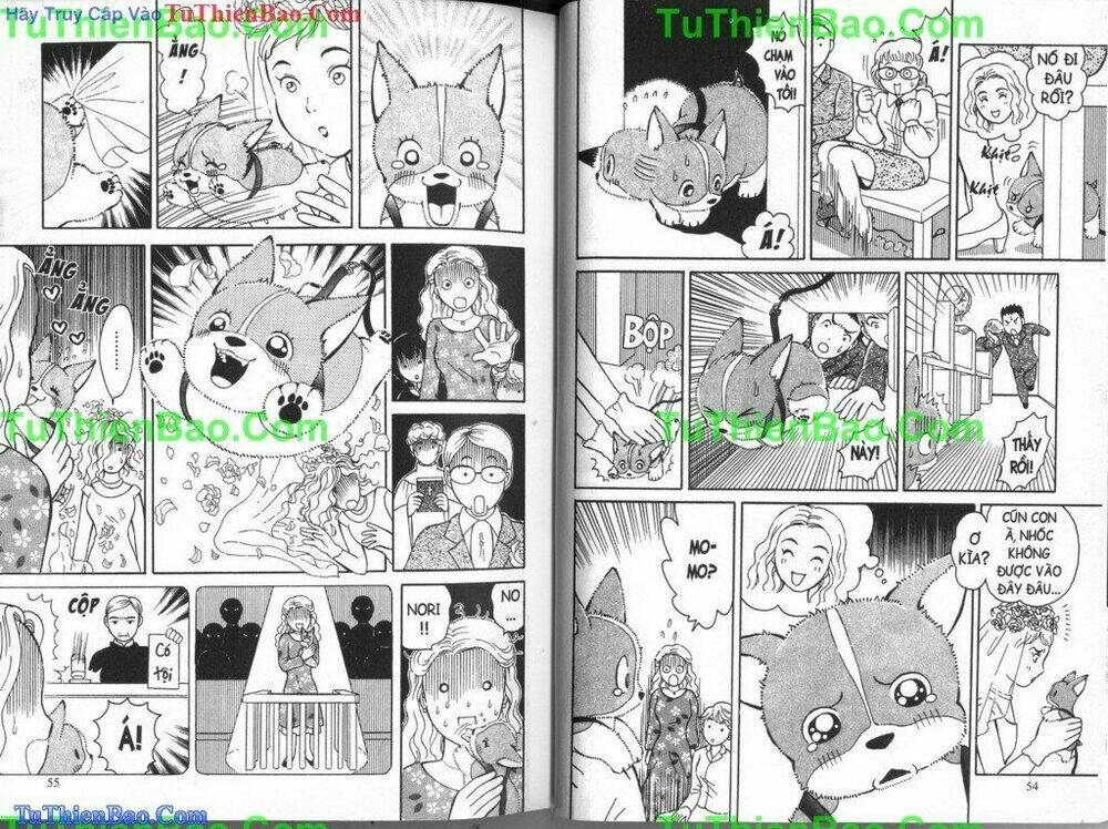 chó con mo mo chapter 4 28