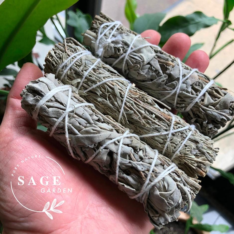 CHỮA LÀNH TÂM HỒN (Xô thơm trắng và Xô thơm xanh)_Size chuẩn 12cm_SAGE GARDEN