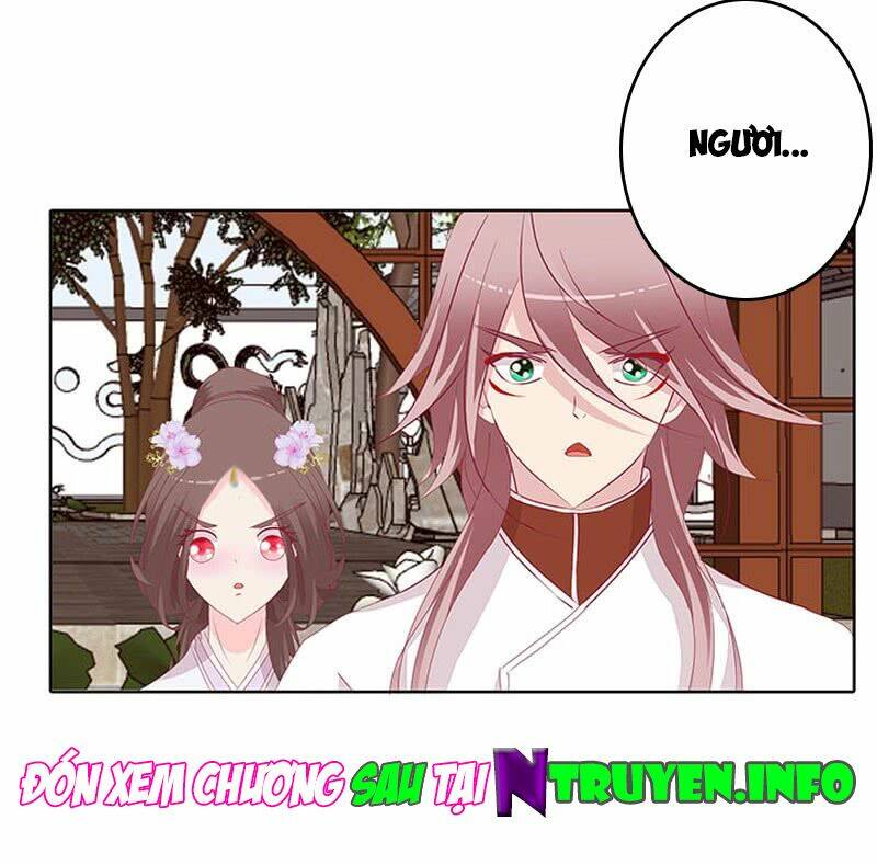 tướng quân mời ra trận chapter 72 24