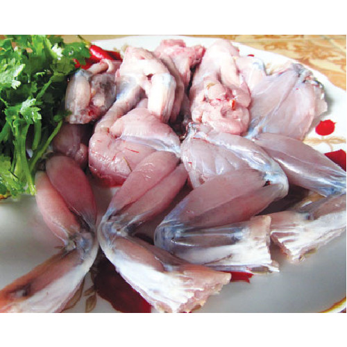 [Chỉ Giao HN] - Ếch đồng làm sạch (500gram)