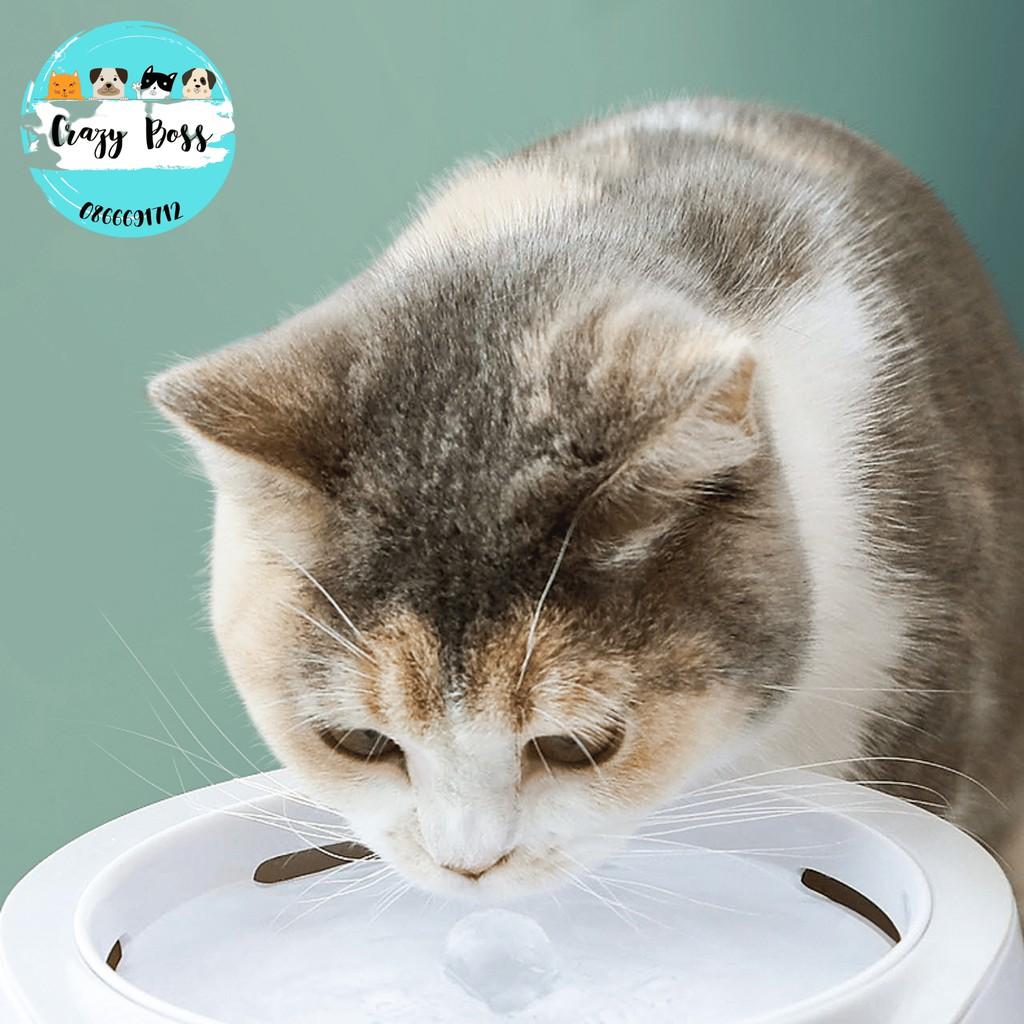 Máy uống nước tự động cho thú cưng